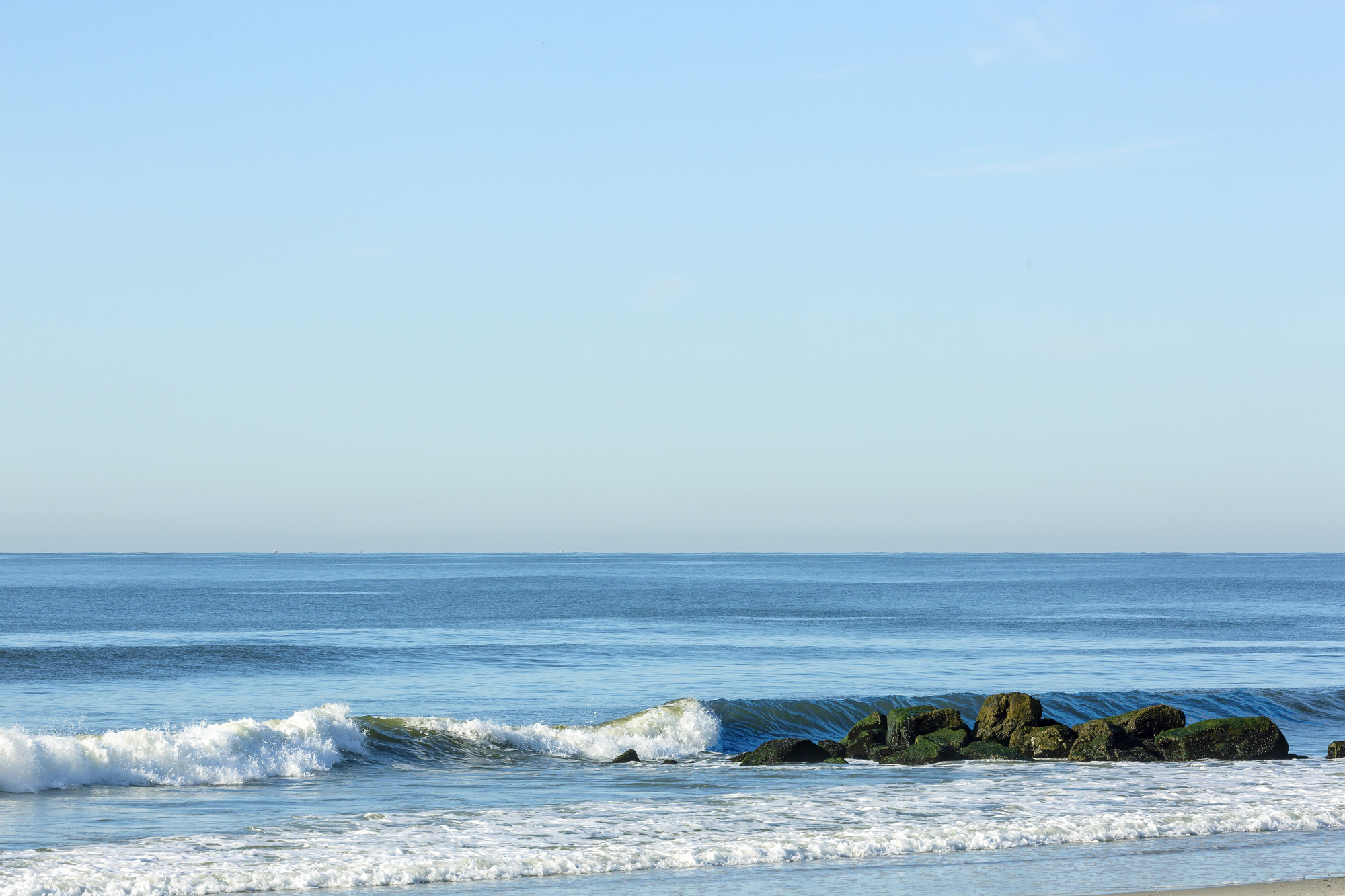 Special Details Banner